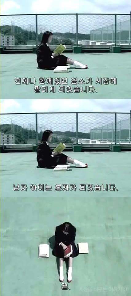 일본의 한 공익광고 | 인스티즈
