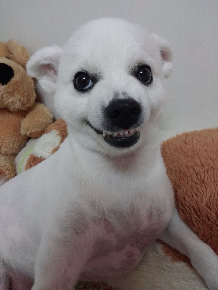 고르다 이미지