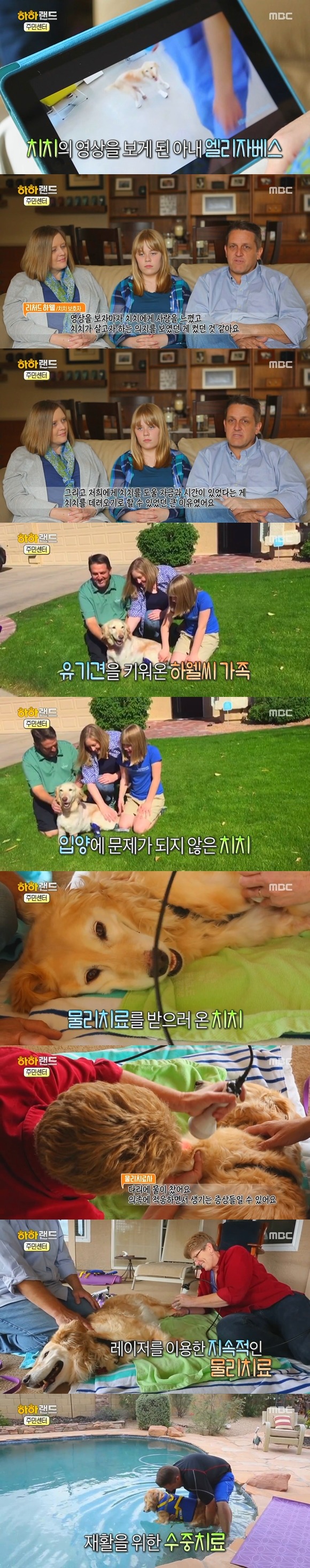 [사진/움짤多] 동물 학대의 현실 & 네 다리가 없는 치치 이야기 | 인스티즈