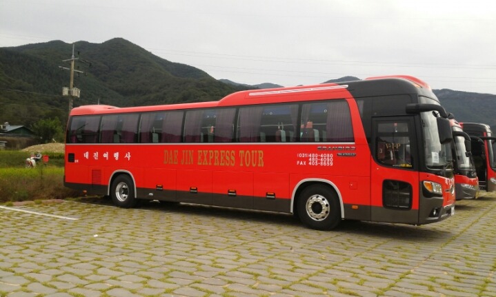 대진여행사 이미지