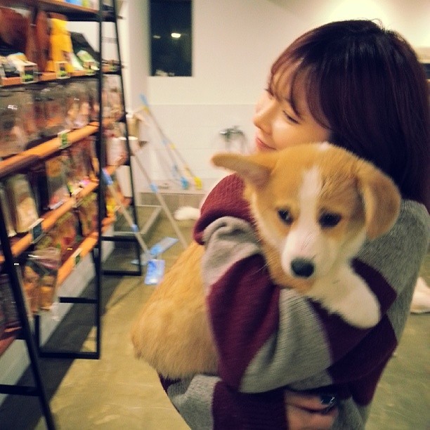 개스타그램 이미지