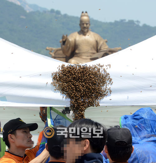 발꼬랑내 이미지