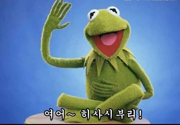 개구리파티는 아침해가뜨기전까지계속된다, | 인스티즈