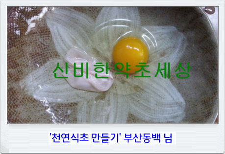오늘의카페 이미지