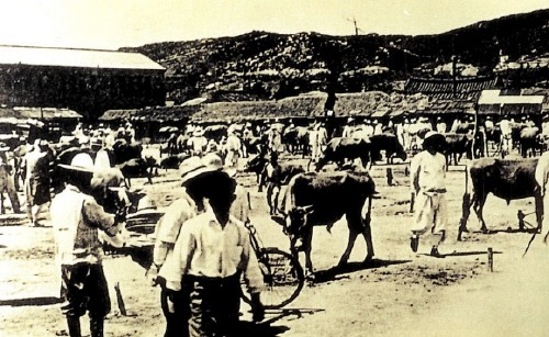 1950년대 수원의 모습.jpg | 인스티즈