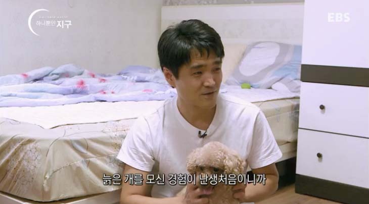  당신은 반려동물과 이별할 준비가 되었나요? | 인스티즈