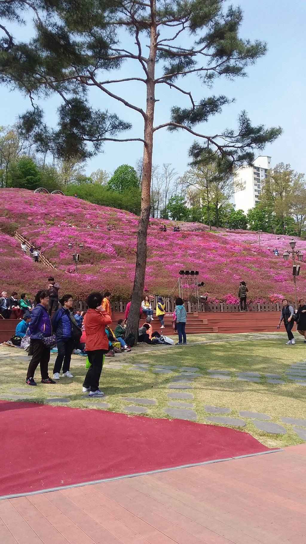 철쭉공원 이미지