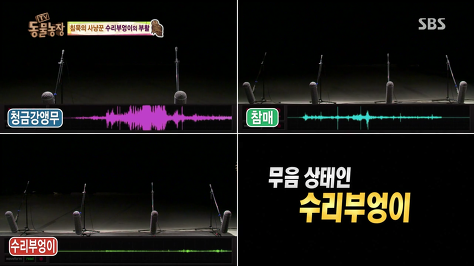 밤의제왕 이미지