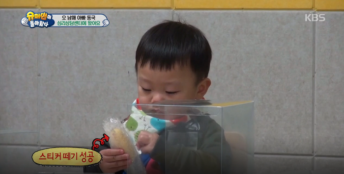 대박이의 아련아련 눈빛공격 (대박이의 성격은? 천성 vs 후천적 교육) | 인스티즈