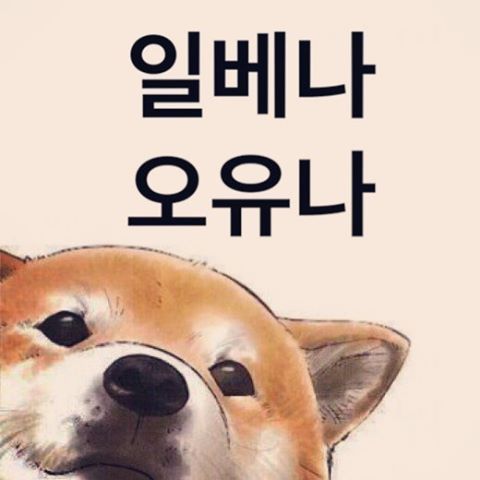 인스타그램의 계정ㅋㅋㅋㅋㅋ | 인스티즈