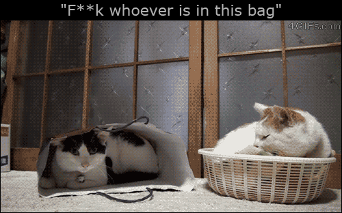 도대체 무슨 생각가지며 사는지 모르겠는 놈들.gif | 인스티즈