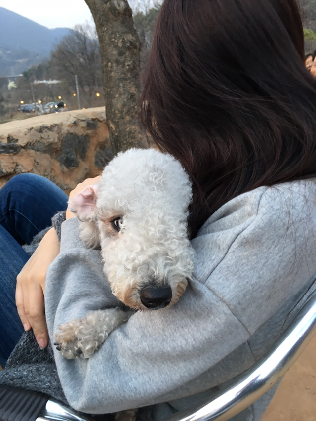 코코네 이미지