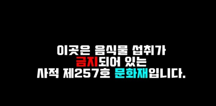 점심시간에 먹는 박사모 수준ㄷㄷㄷ | 인스티즈