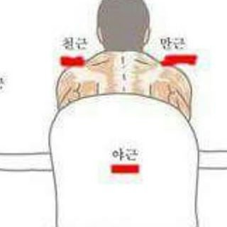 직장인들이 항상 가지고 있는 근육 | 인스티즈