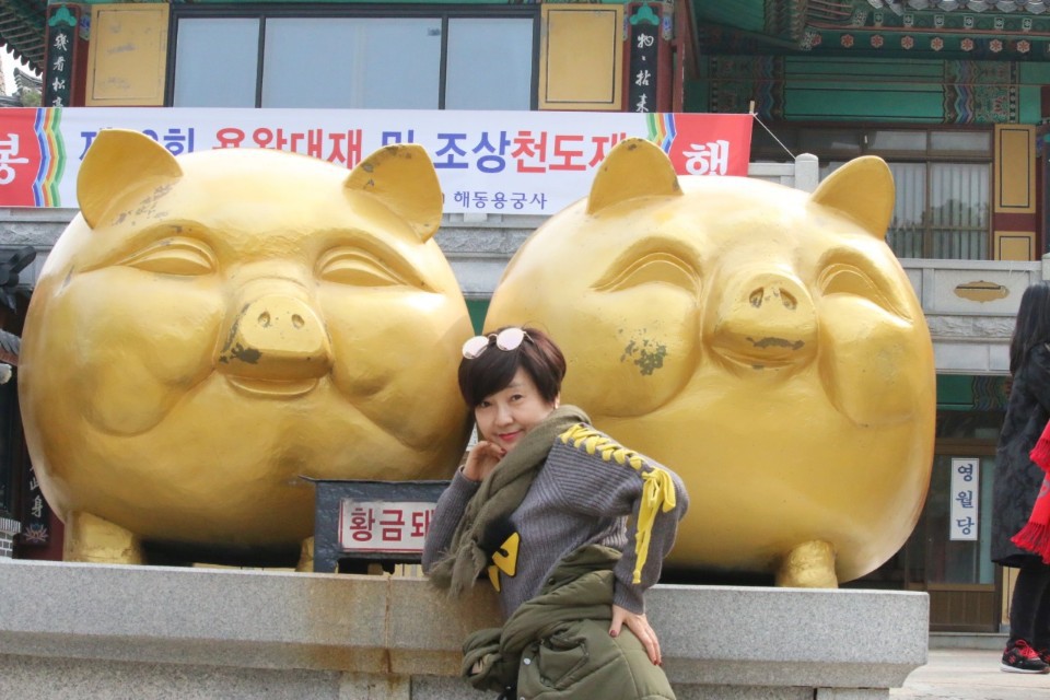 한국대중음악인연합회대구지회 이미지