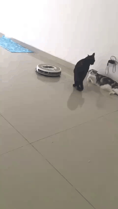 병진이형은 나가있어.gif | 인스티즈