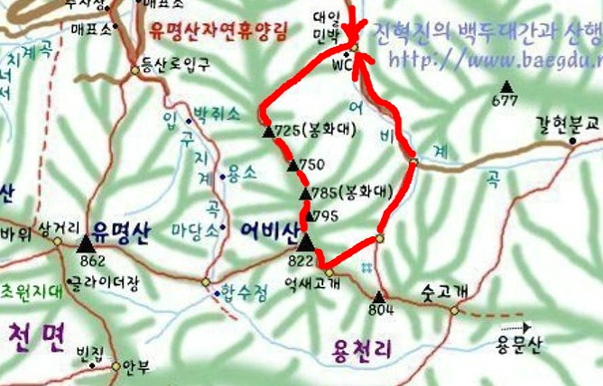 대일민박 이미지
