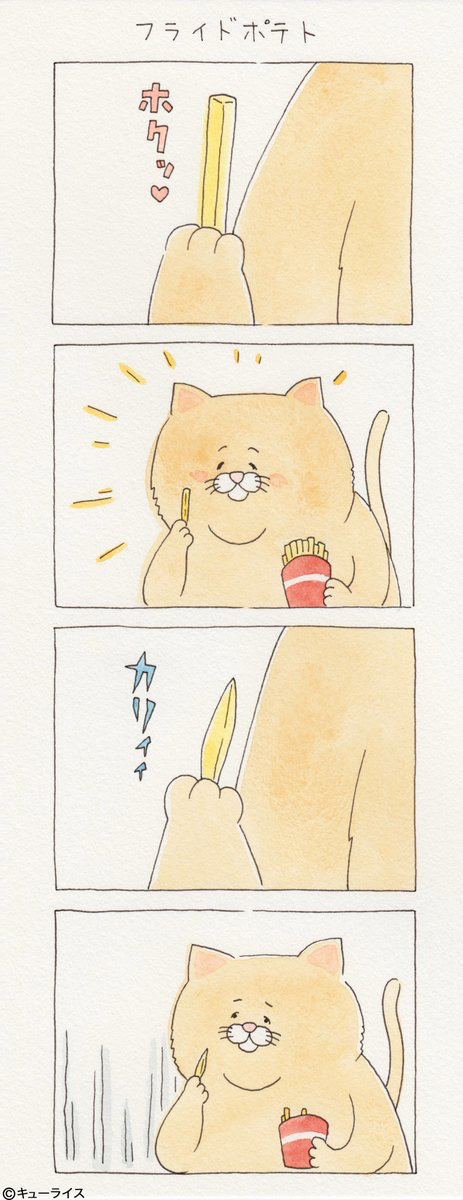 뭐든지 안 되는 고양이 시리즈.jpg | 인스티즈