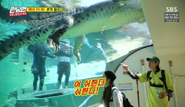 악어가 실례하는 장면을 목격한 전소민&이광수 | 인스티즈