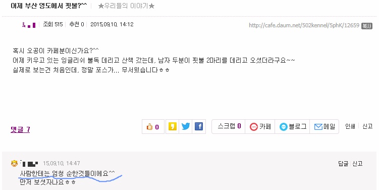 투견 핏불 산책시킬때 입마개 안하는 핏불카페회원들 | 인스티즈
