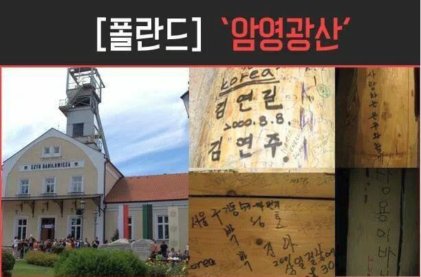외국 나가서도 들통나는 시민의식 | 인스티즈