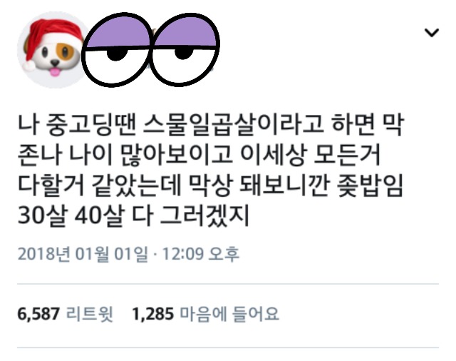 중고딩 땐 27살 하면 이 세상 모든거 다 할 것 같았는데.twt | 인스티즈
