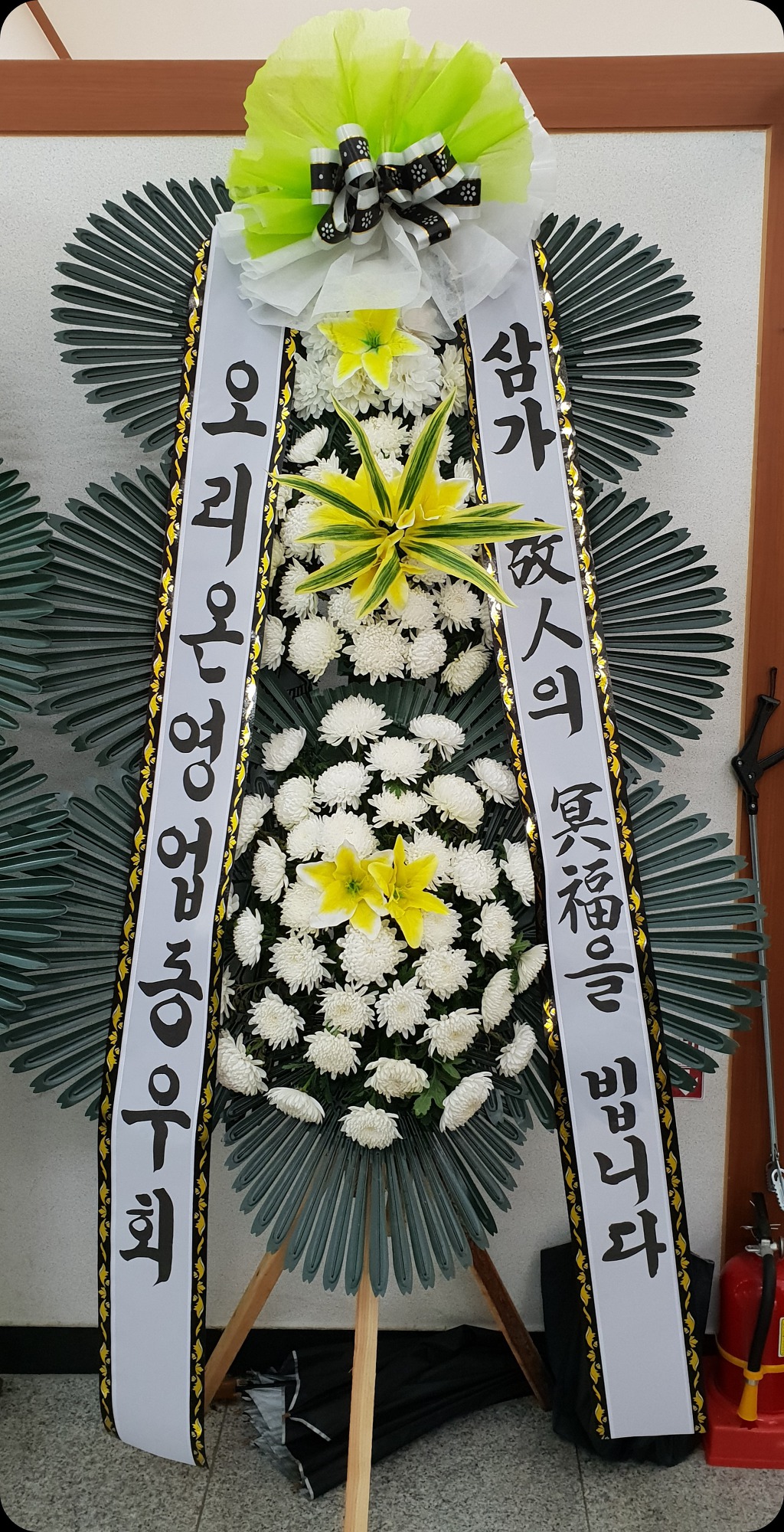 야탑동 351 (분당차병원) 이미지