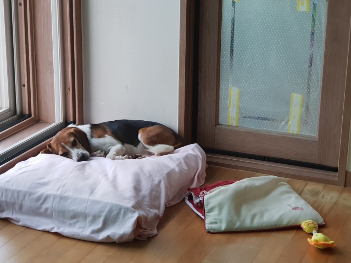오물오물 이미지