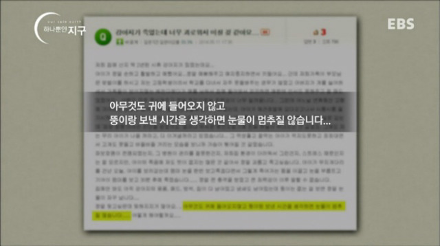 처음 반려동물 키우기 시작했을 때 너무 좋고 예뻐서 생각하지 못하는 것.jpg | 인스티즈
