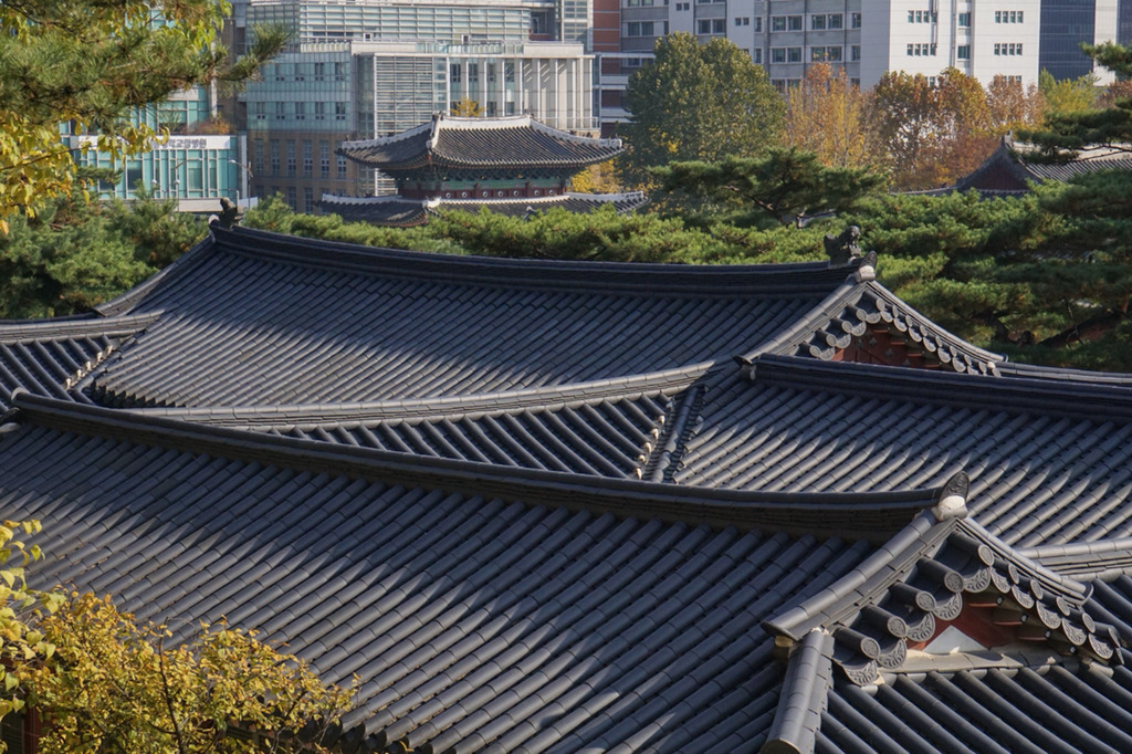 주말간 서울 5대 고궁 탐방 사진 | 인스티즈