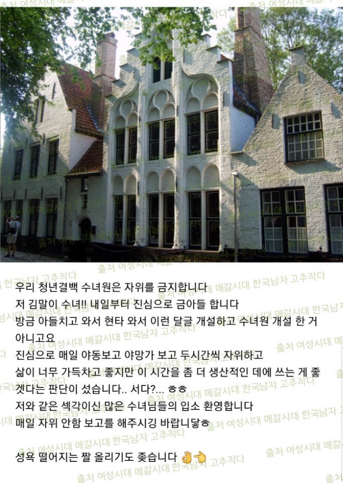 청년결백 이미지