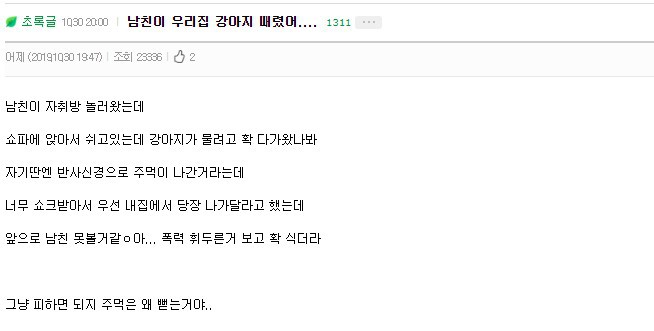 남친이 우리집 강아지 때렸어 | 인스티즈