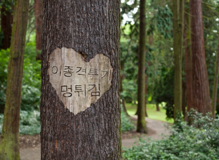좀... 하지 말라고 이 주인새야!!!!!!! | 인스티즈