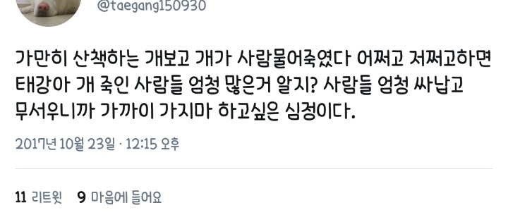 최시원 사건 이후 목줄을 해도 시비털리는 견주들 | 인스티즈