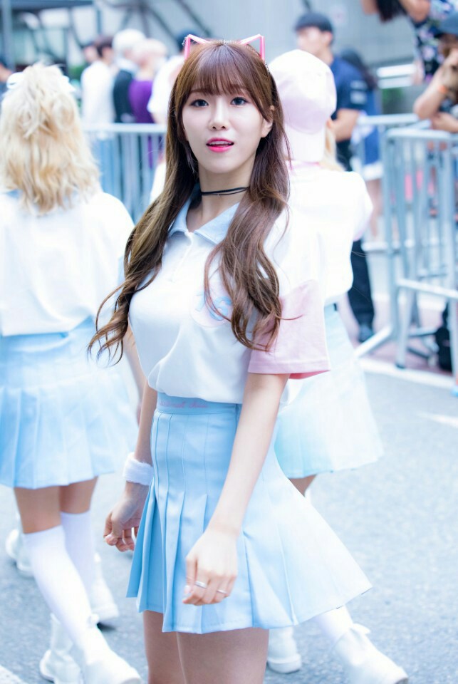 다원 이미지