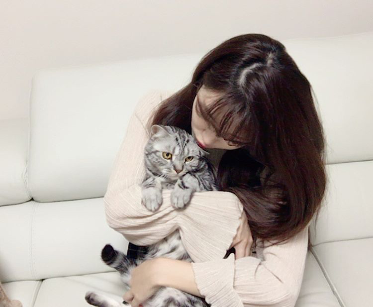 오늘자 고양이 생일파티 해준 전효성 ㅋㅋㅋㅋㅋㅋㅋㅋㅋ | 인스티즈