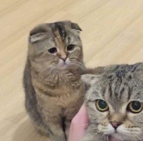 나도 이뻐해줘... | 인스티즈