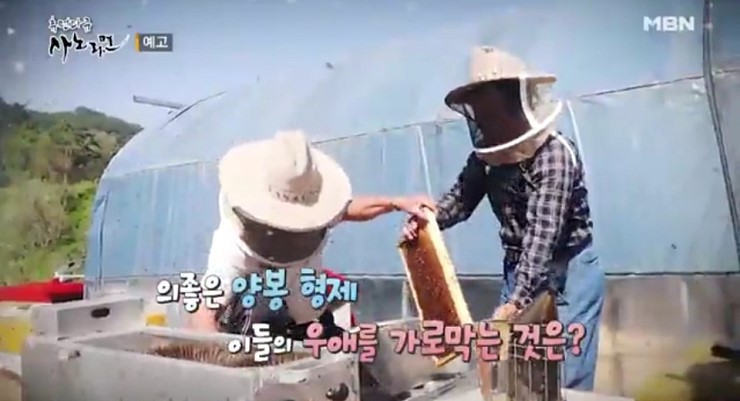 지경벌꿀 이미지