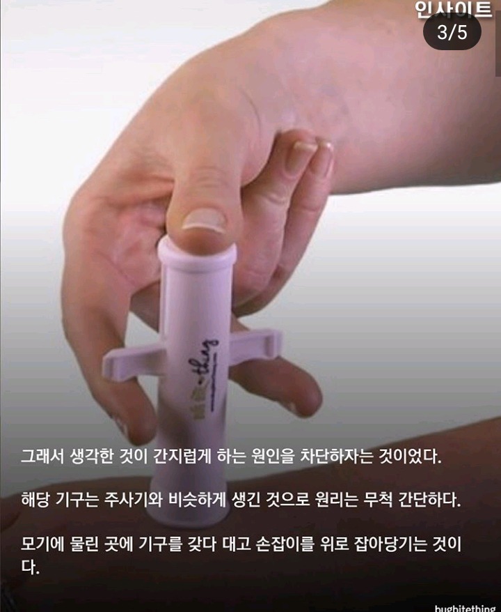 올여름 핫아이템 | 인스티즈