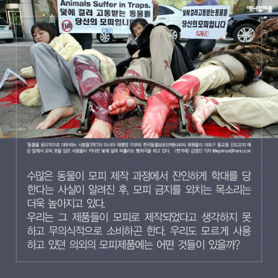 일상에 스며든 동물학대 생산품들 (중간에 피 주의) | 인스티즈