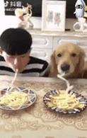 개같은 상황.gif | 인스티즈