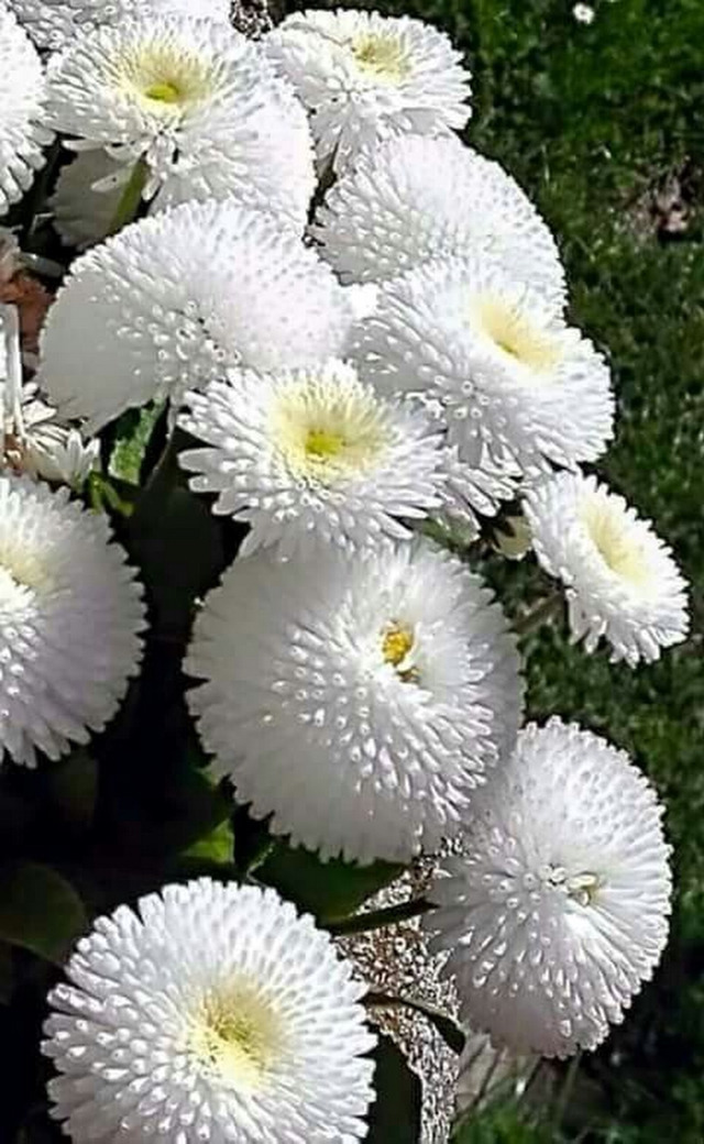 행복한아침 이미지