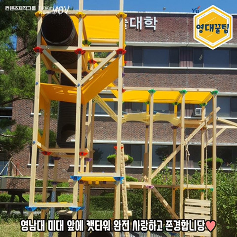 교내 길고양이들한테 밥 주지 말라는 학교 | 인스티즈