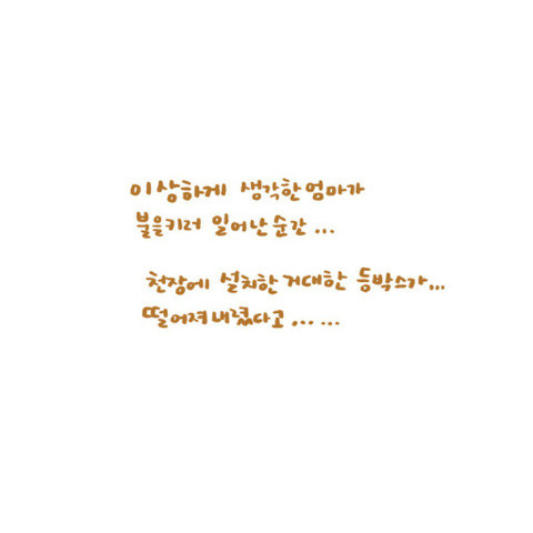 은혜갚은 고양이 | 인스티즈