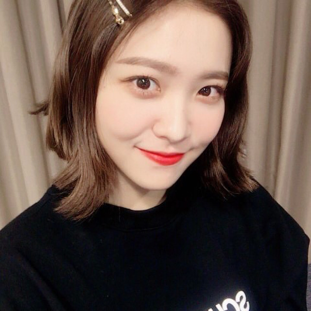 레드벨벳 예부기.jpgif | 인스티즈
