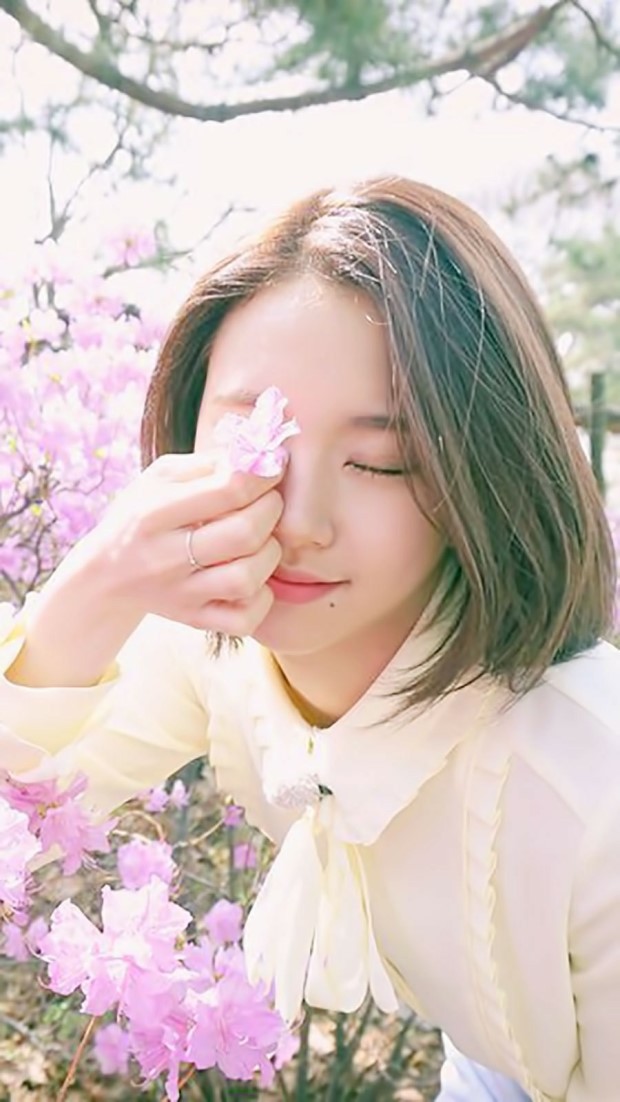 트와이스 채영 | 인스티즈