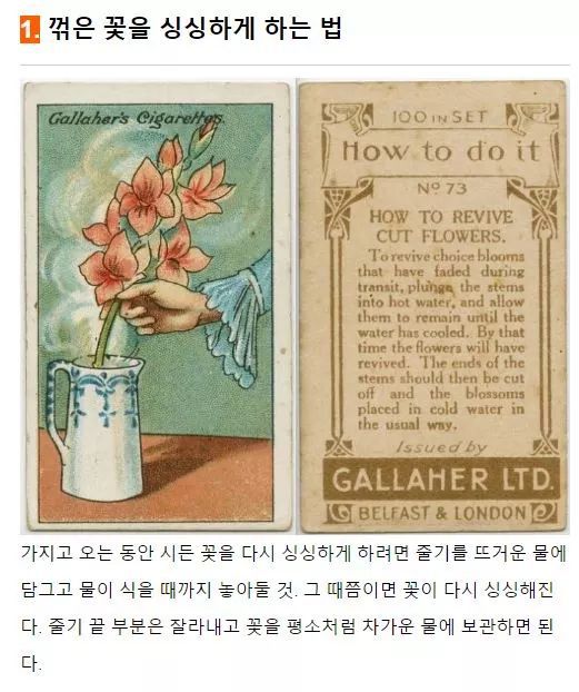 100년전 사람들의 지혜 | 인스티즈