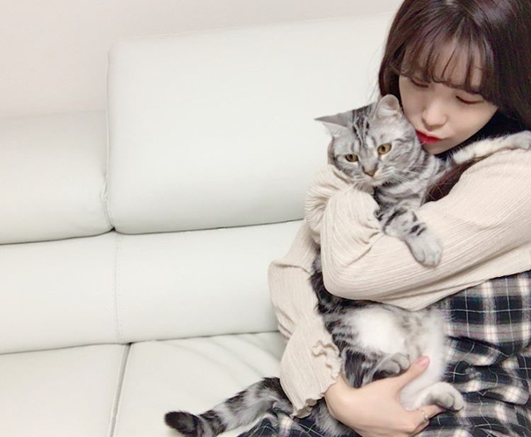 오늘자 고양이 생일파티 해준 전효성 ㅋㅋㅋㅋㅋㅋㅋㅋㅋ | 인스티즈