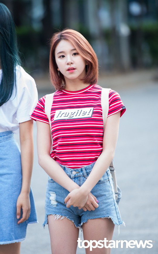 트와이스 손채영 | 인스티즈