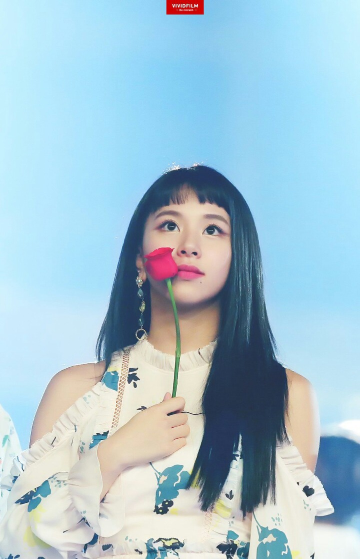 트와이스 손채영 | 인스티즈